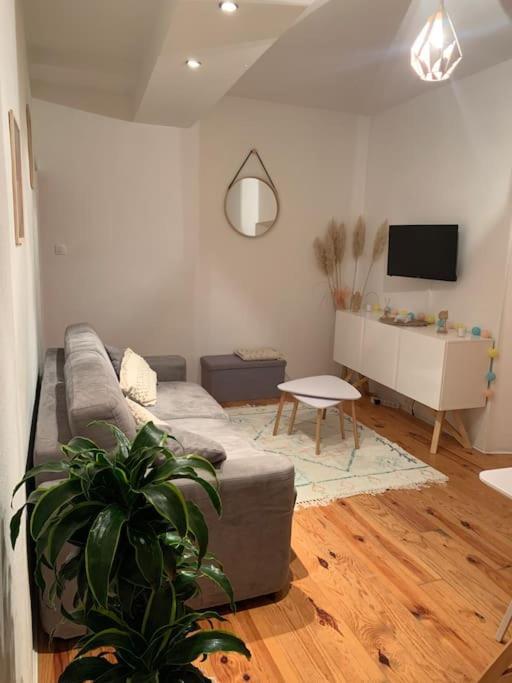 Apartamento Le Petit Cocon Nimois Nimes Exterior foto